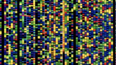 The Download: Google DeepMind's DNA AI ، و Heatwaves 'على الشبكة