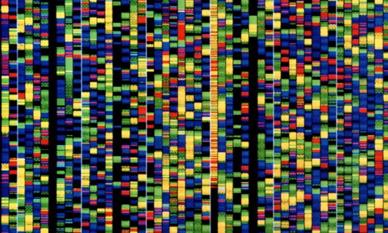 The Download: Google DeepMind's DNA AI ، و Heatwaves 'على الشبكة
