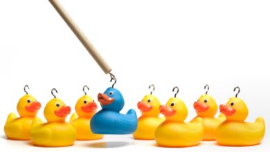 Image of a hook capturing a blue duck to represent recruiting talent for engineering roles.