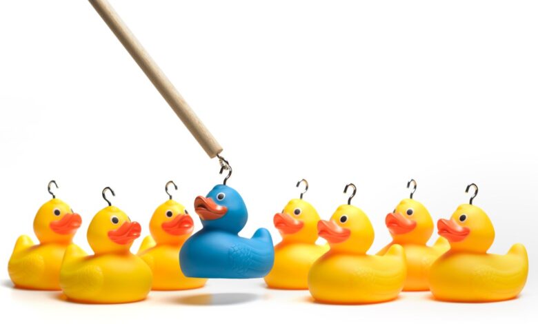 Image of a hook capturing a blue duck to represent recruiting talent for engineering roles.