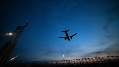 plan flying at dusk