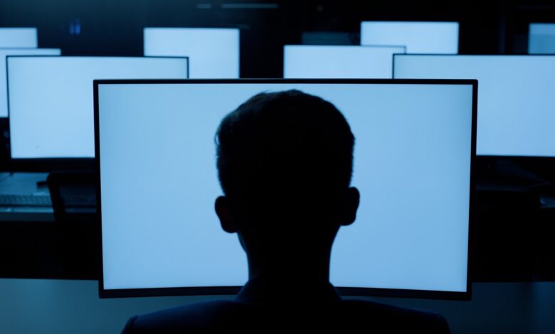 Person, desktop or blue screen at night in information technology lab with back of developer or programmer. Software development, networking and system administration for computer or connection